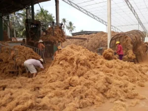 pill of coconut fiber